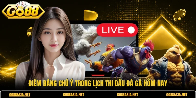 Điểm đáng chú ý trong lịch thi đấu đá gà hôm nay