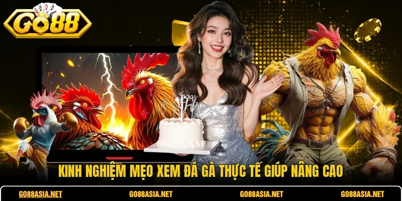 Kinh nghiệm mẹo xem đá gà thực tế giúp nâng cao 