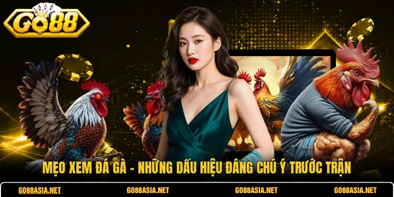 Mẹo Xem Đá Gà - Những Dấu Hiệu Đáng Chú Ý Trước Trận