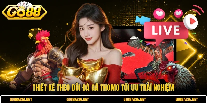 Thiết kế theo dõi đá gà Thomo tối ưu trải nghiệm